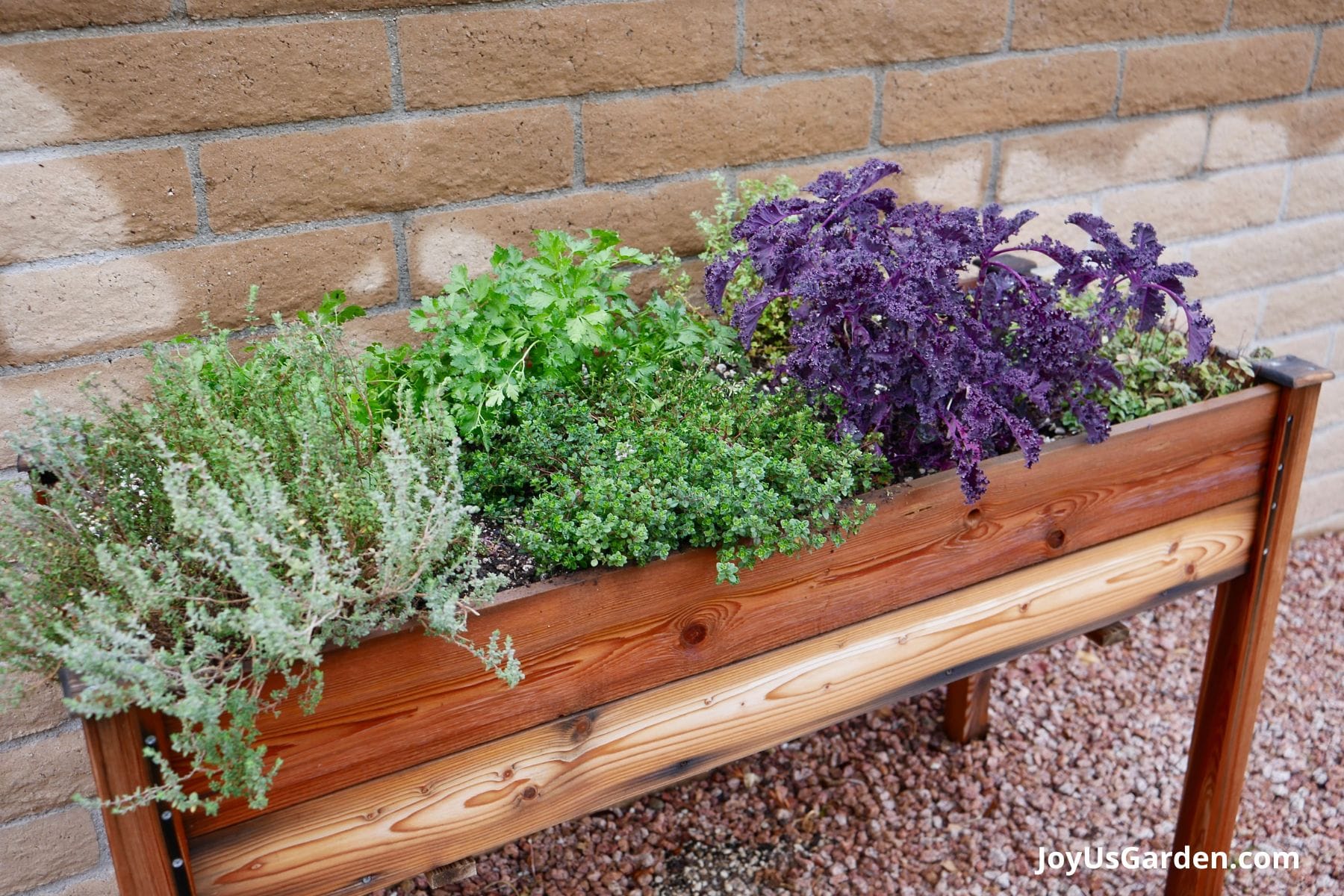 Herbs In Raised Beds A Guide To Creating A Kitchen Garden