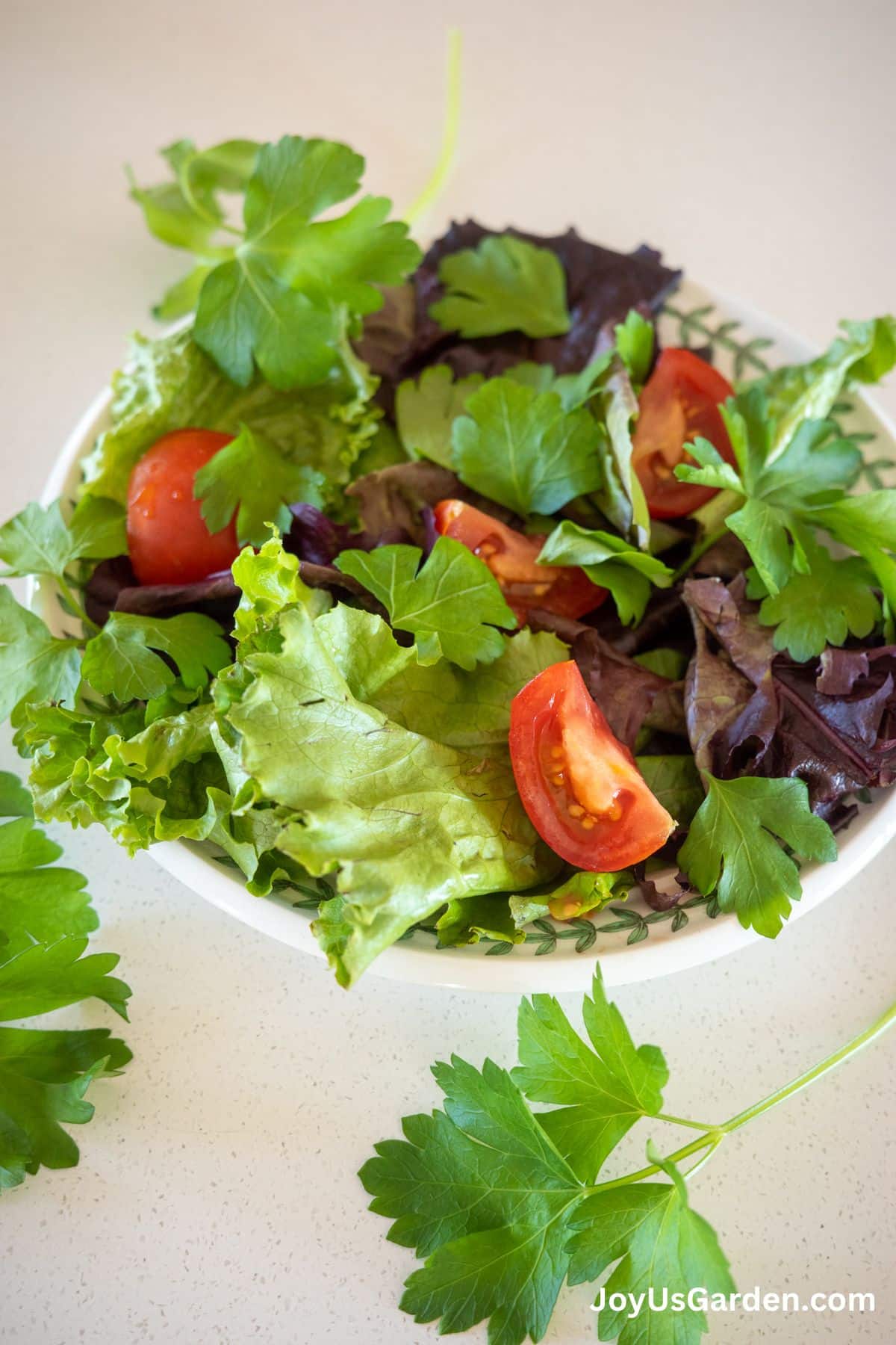 A salad is shown with lettuce, parsley and tomatoes. 