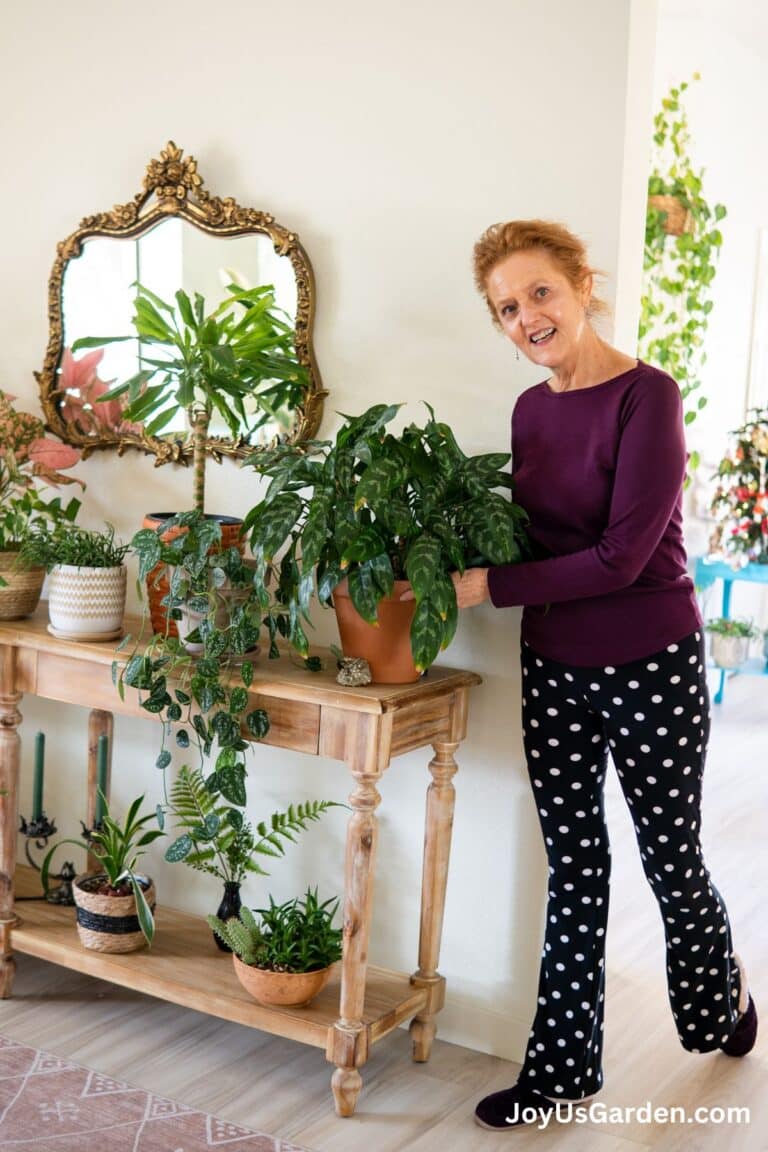 Nell Foster stands next to long plant table filled with a variety of indoor plants.