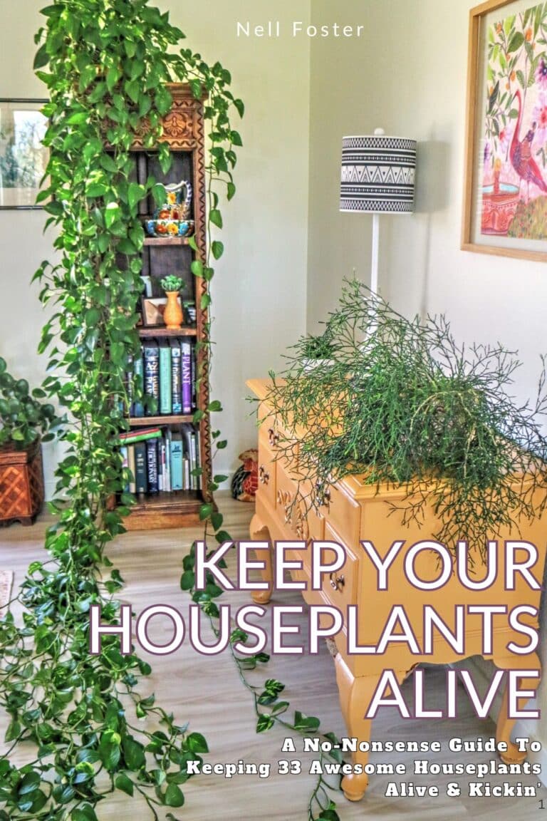 Keep your houseplants alove book cover, picture shown is a trailing pothos in a brightly lit room.